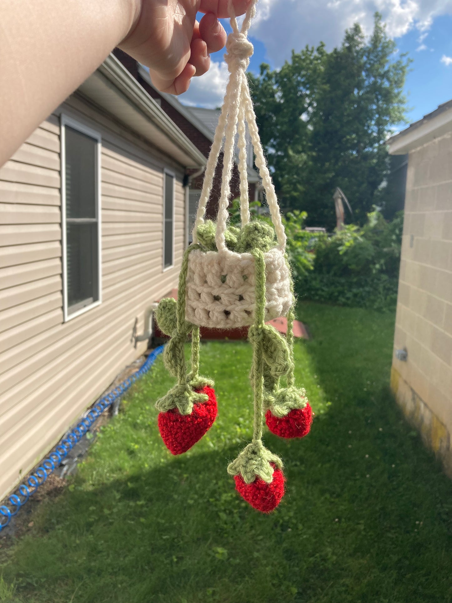 Hanging Strawberry Basket