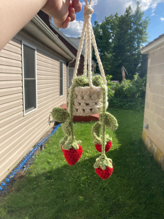 Hanging Strawberry Basket