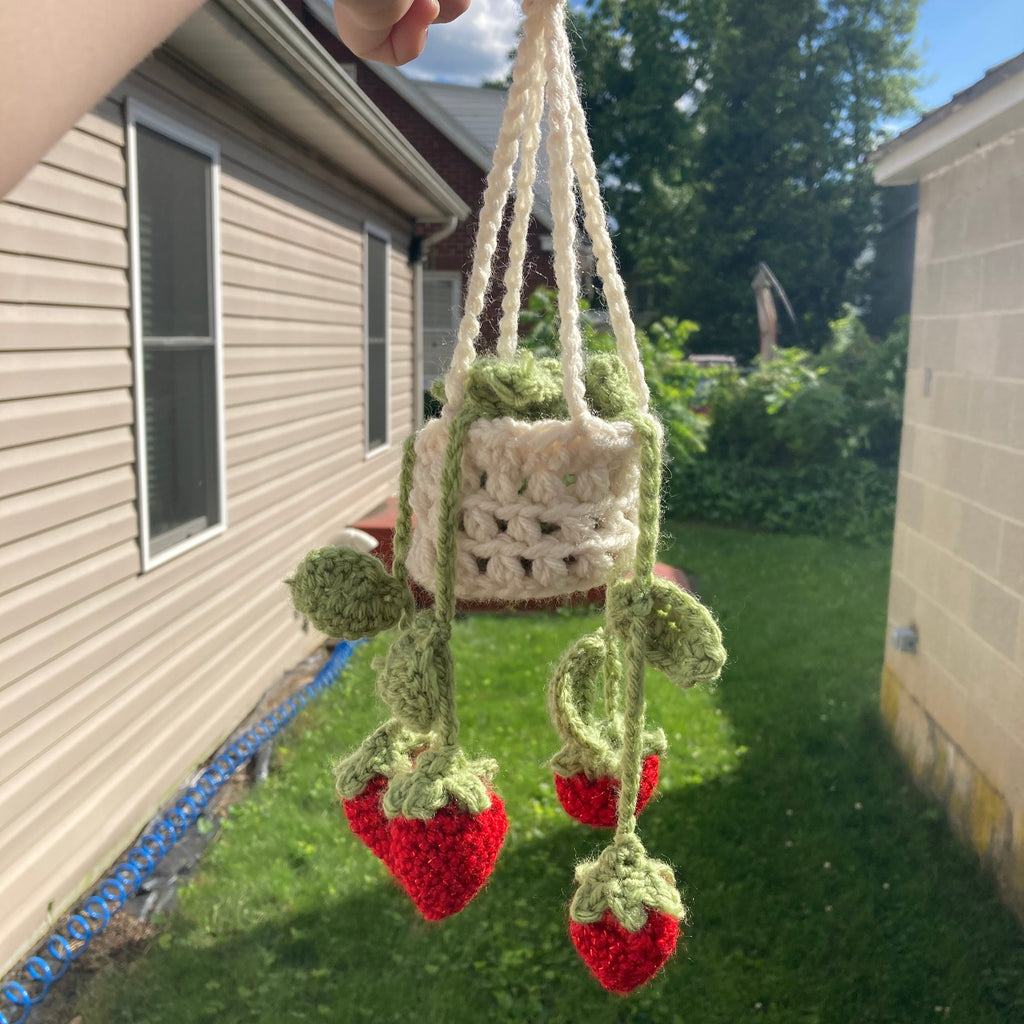 Hanging Strawberry Basket