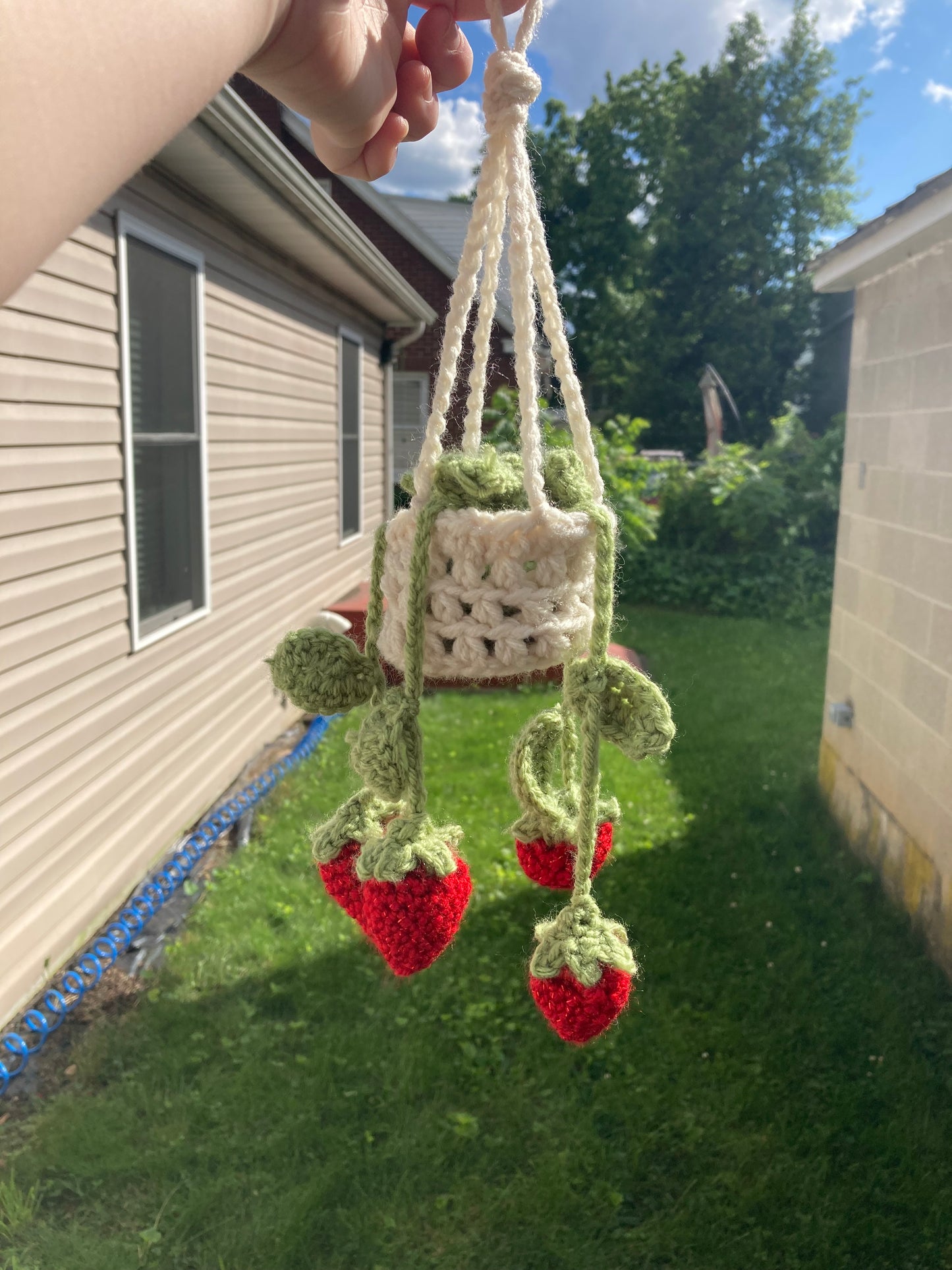 Hanging Strawberry Basket