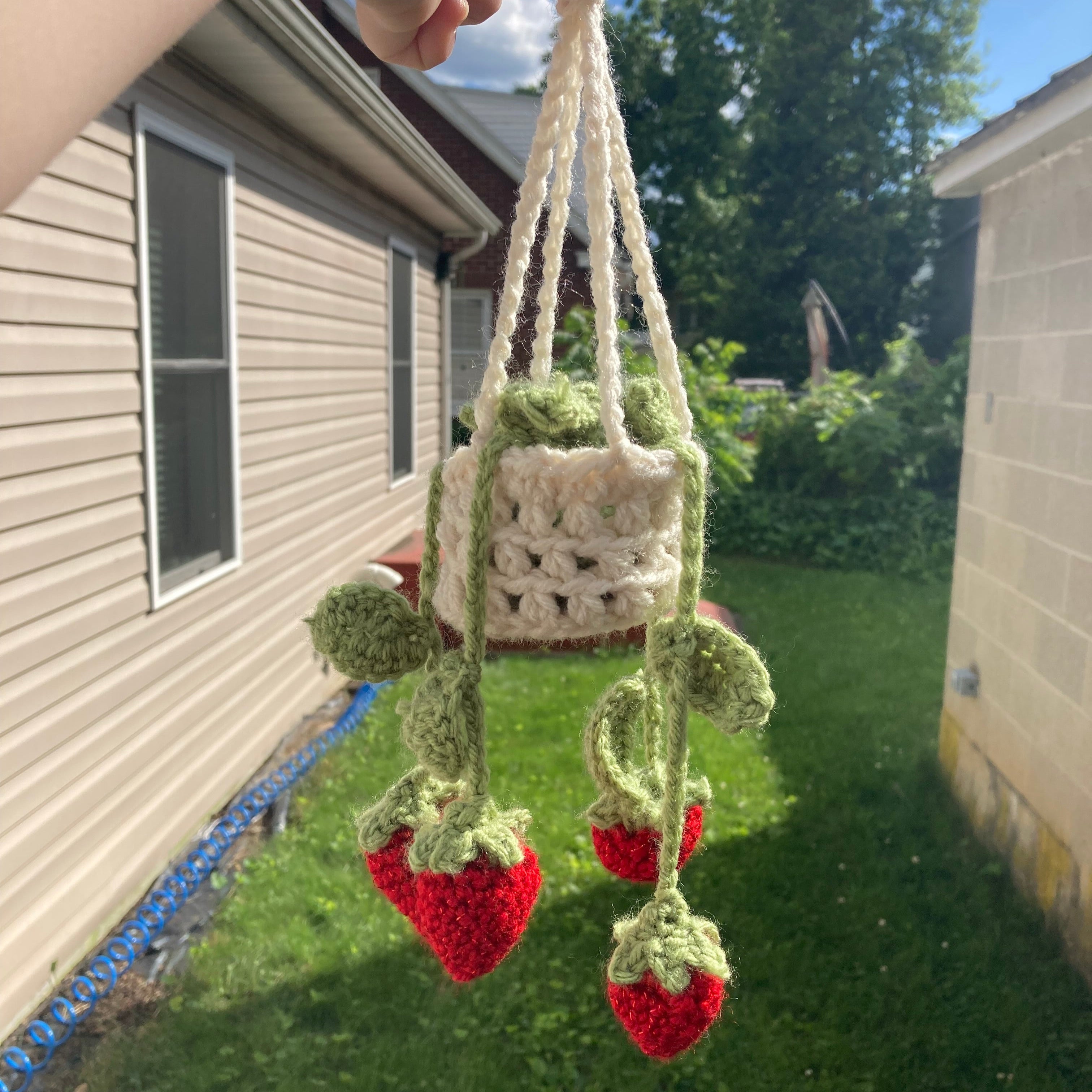 Hanging Strawberry Basket